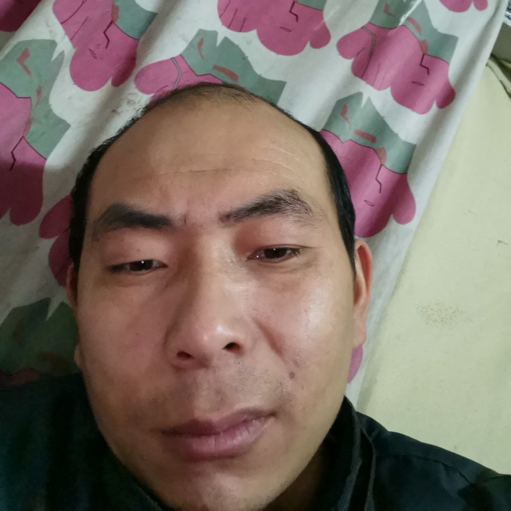 绝影等待有魅力的照片