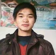 小天鹅邂逅健忘的照片