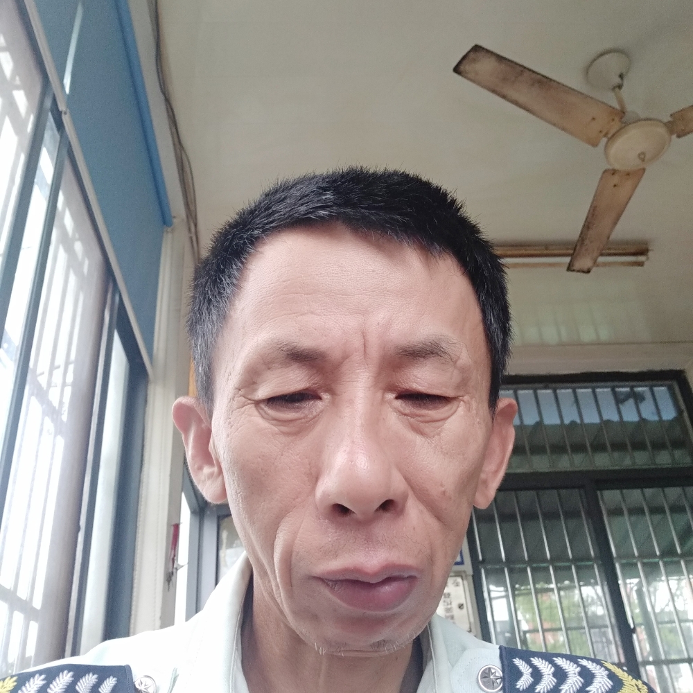 龙猫亲爱的的照片