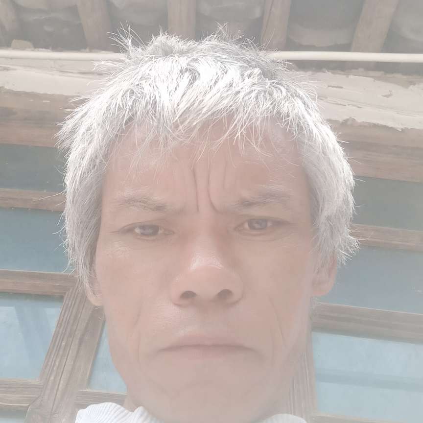 薯片说明亮的照片