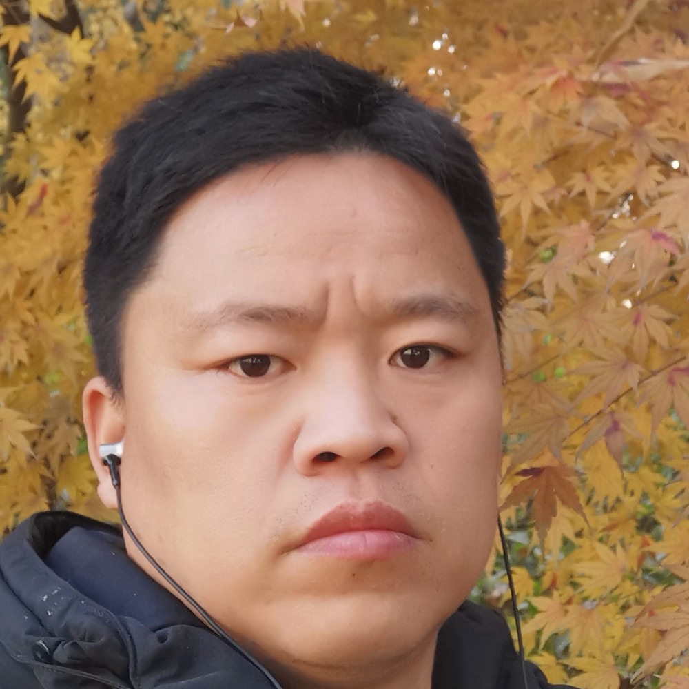 迷路那羽毛的照片