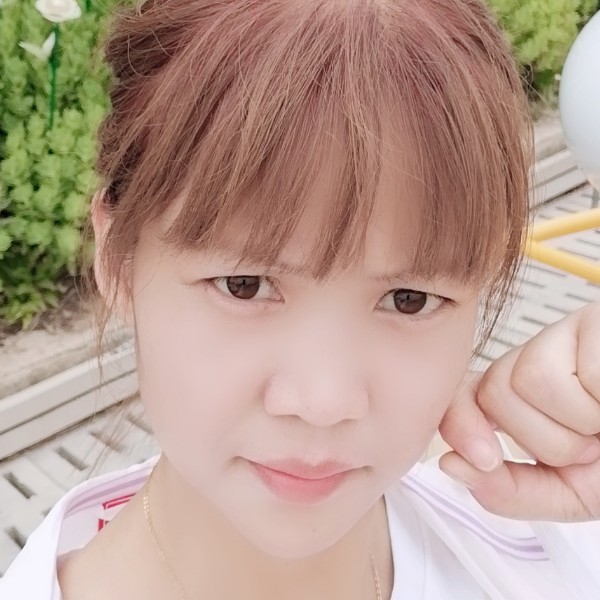 1（小菊花（）的照片