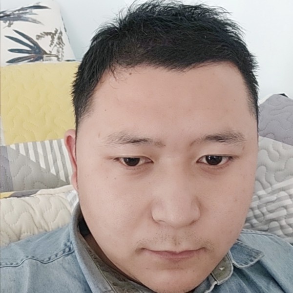 标致的大雁的照片