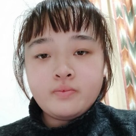 开心向日葵1的照片