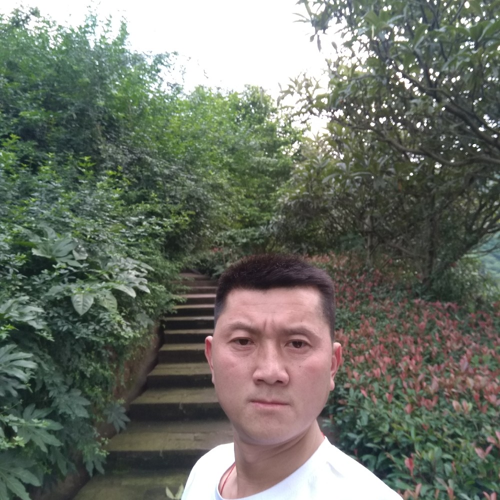 互相互助的照片