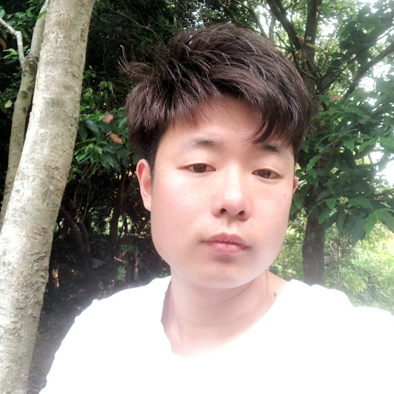 陌生-☆的照片