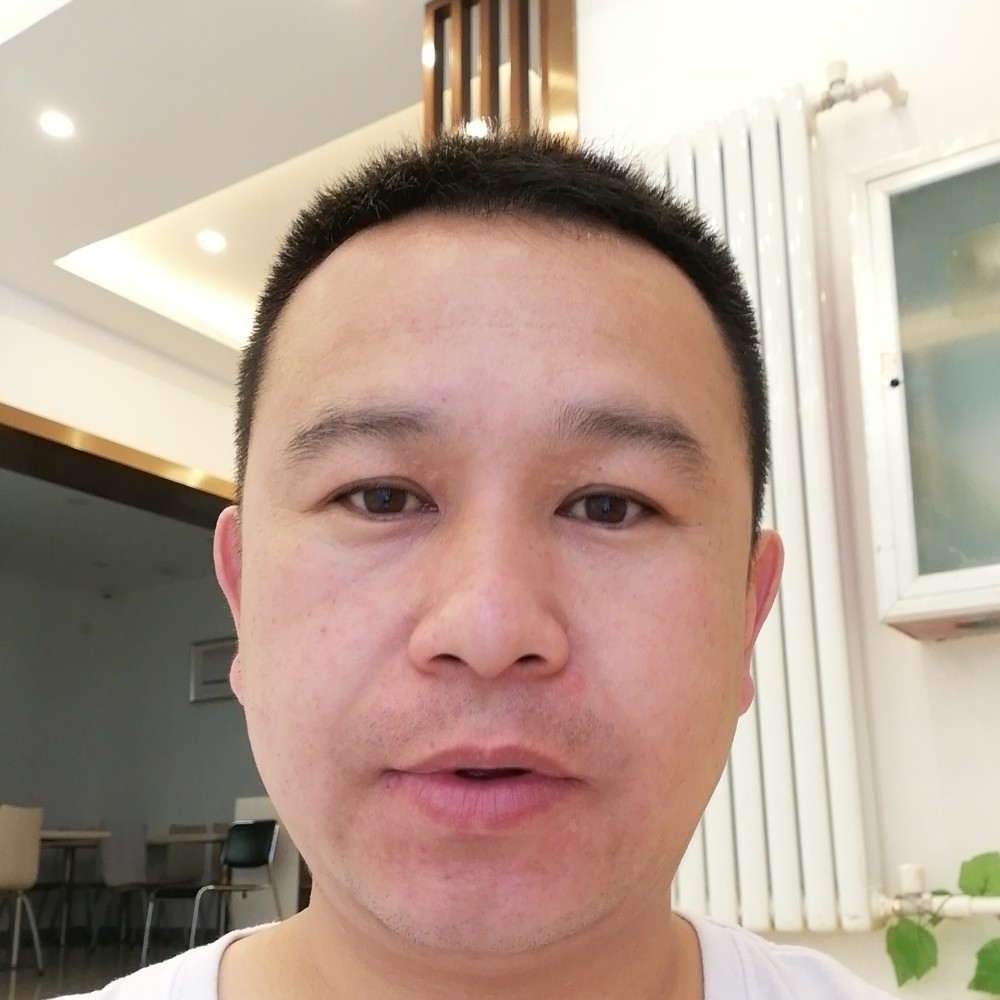 孤独的小鸟何处飞的照片