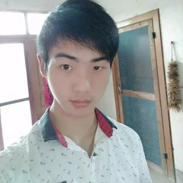 疯狂小懒虫的照片