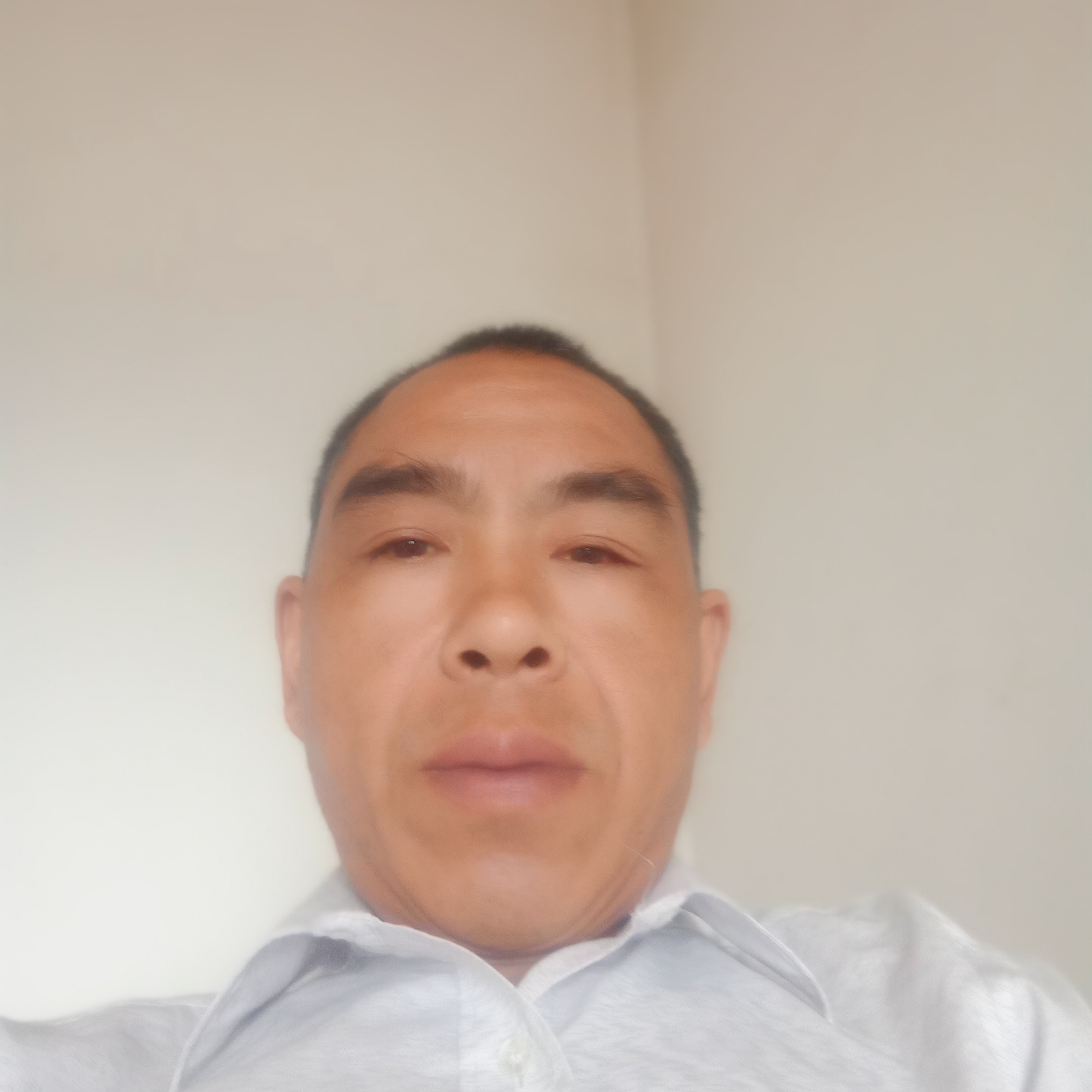 活泼的饭卡的照片