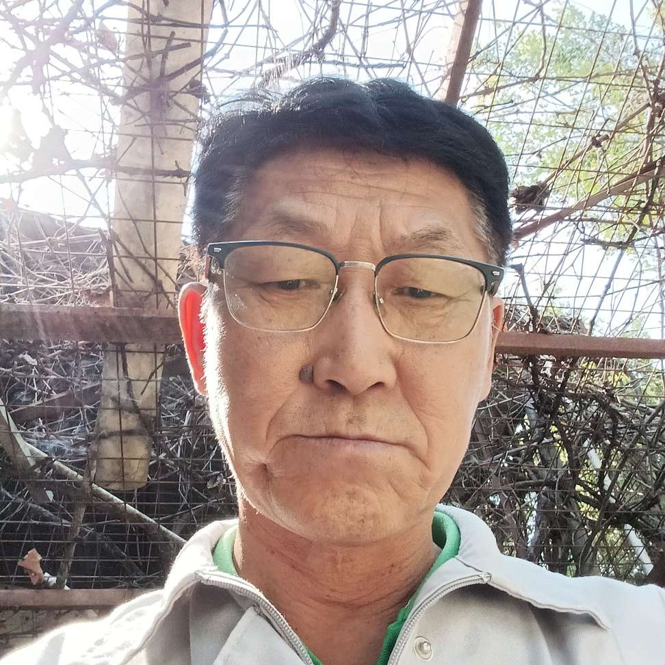 斑马回眸光亮的照片