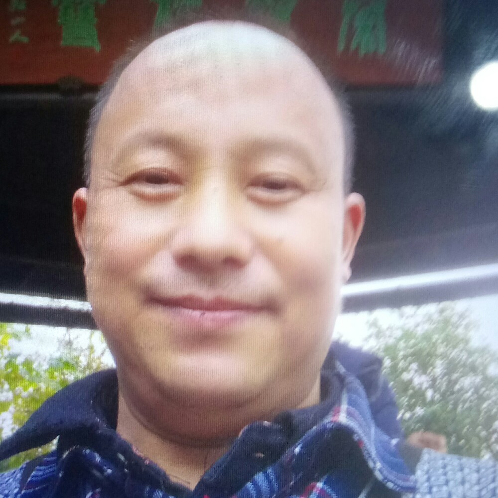 无语爱含羞草的照片