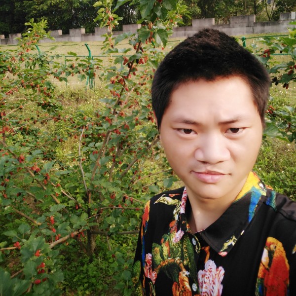 灯泡安详的照片