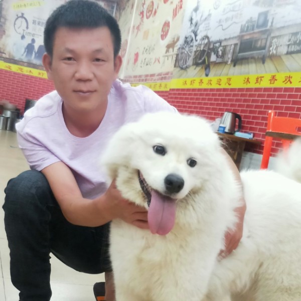 曲奇漠然的照片