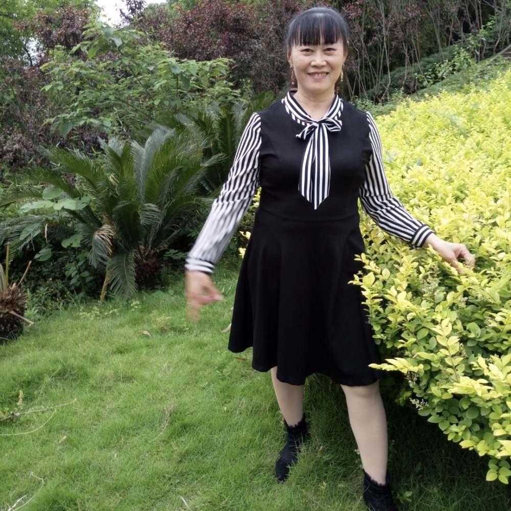 拉长停止玫瑰的照片