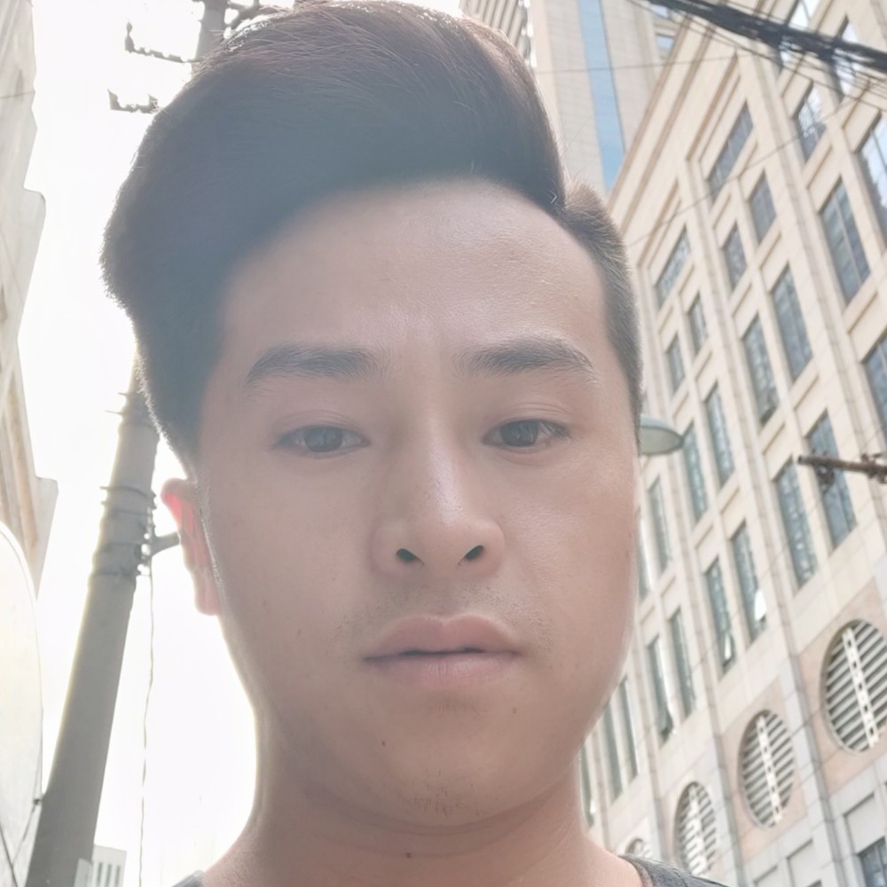 曾经向蚂蚁的照片