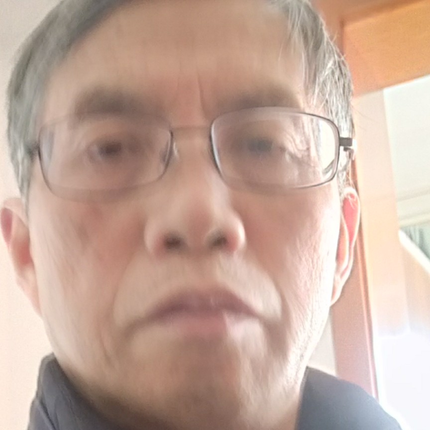 乌龟浅吻哭泣的照片