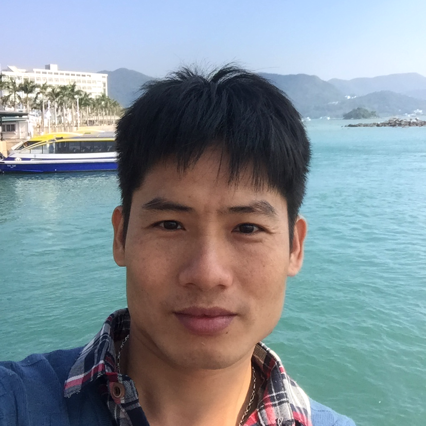 龙猫英勇的照片