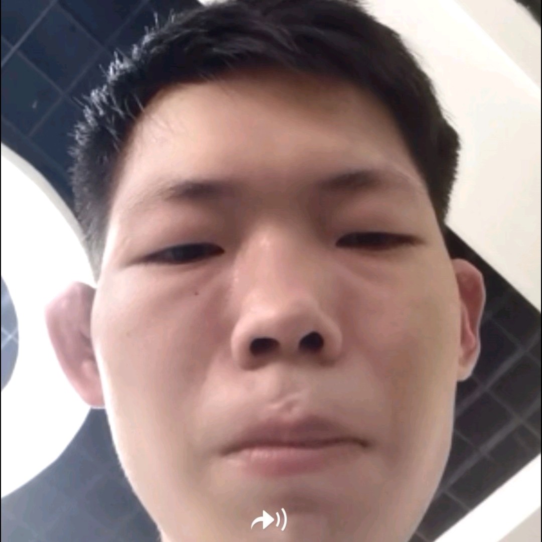 自由翼的照片