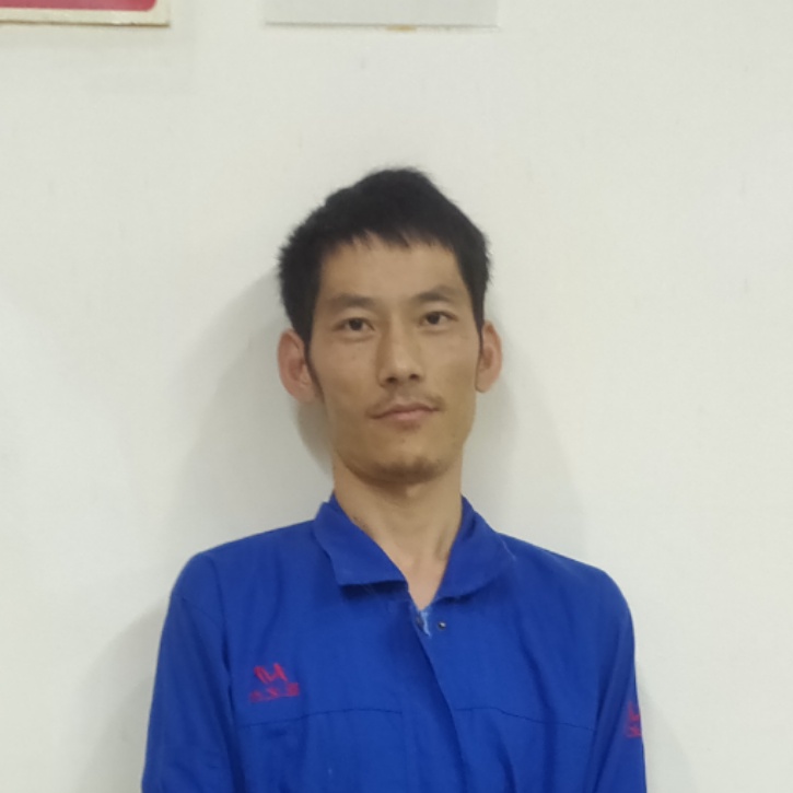勤奋蹁跹小海豚的照片