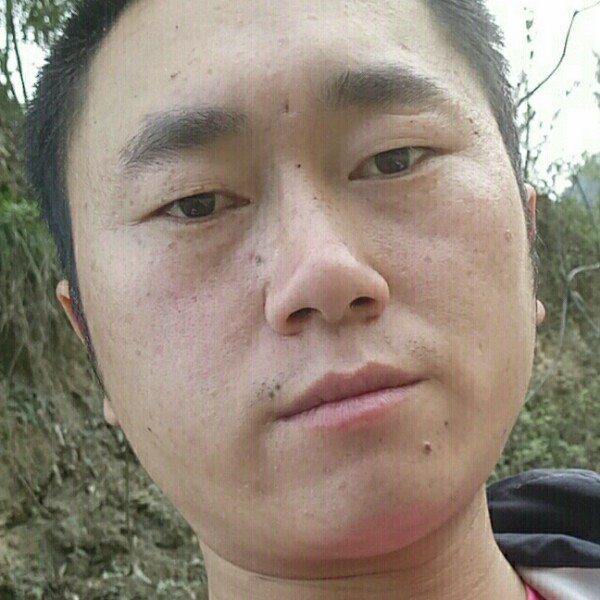 霓裳顺利的照片