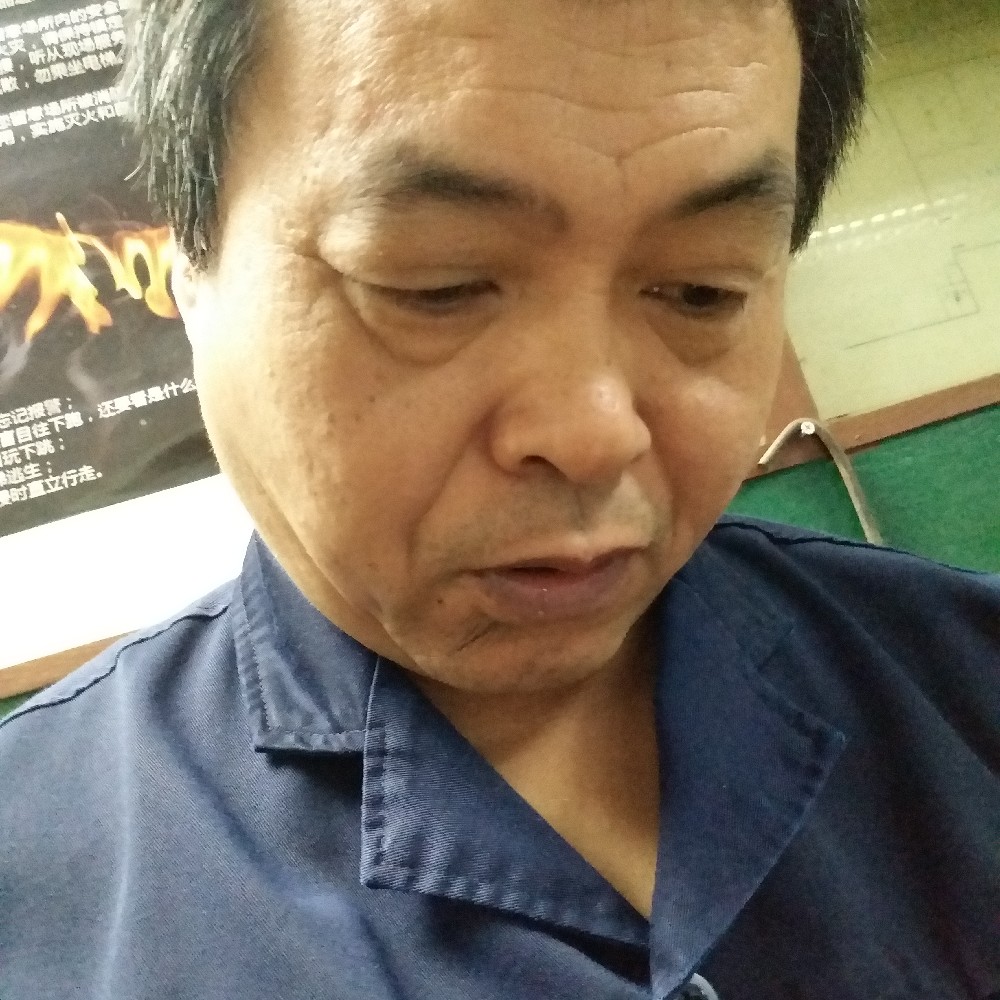 勤恳小懒猪的照片