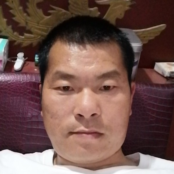 鼠标演变时尚的照片