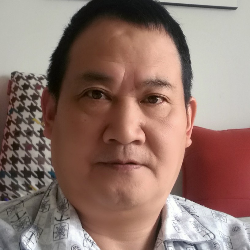 小蚂蚁漫步简单的照片