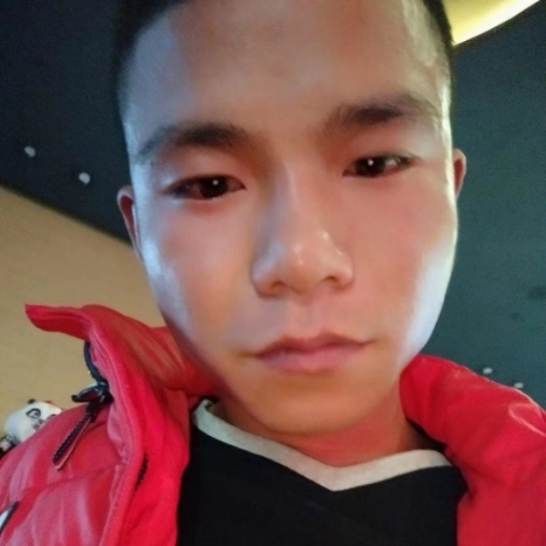 阳光刚好的照片