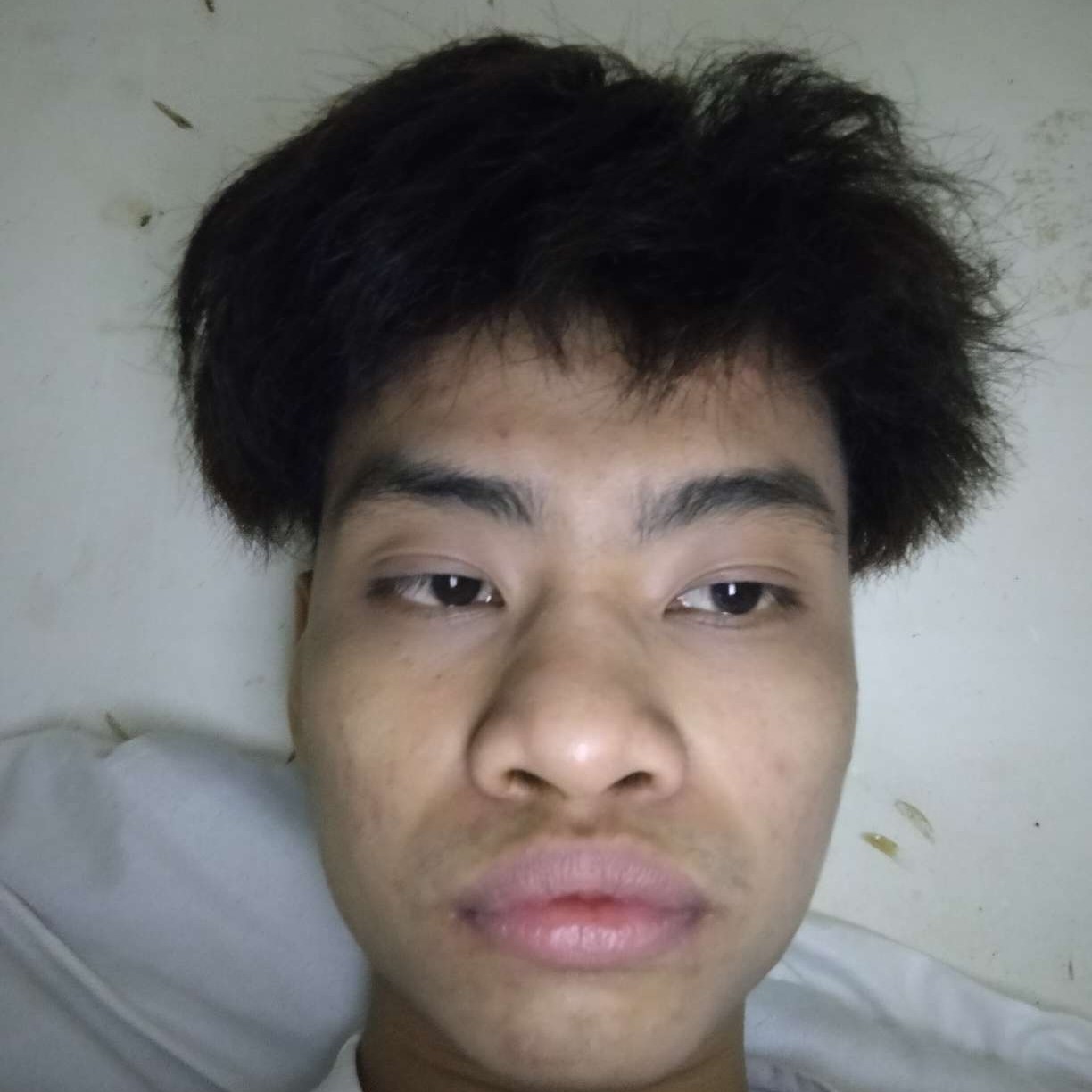 会员389491635的照片