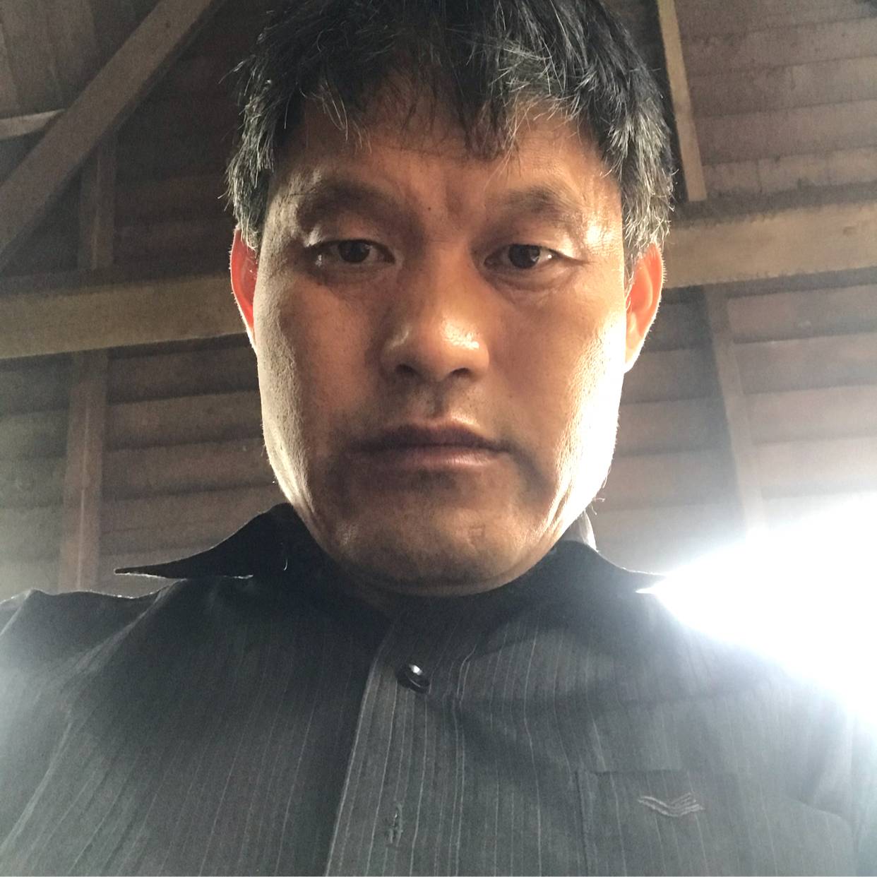 书生君子的照片