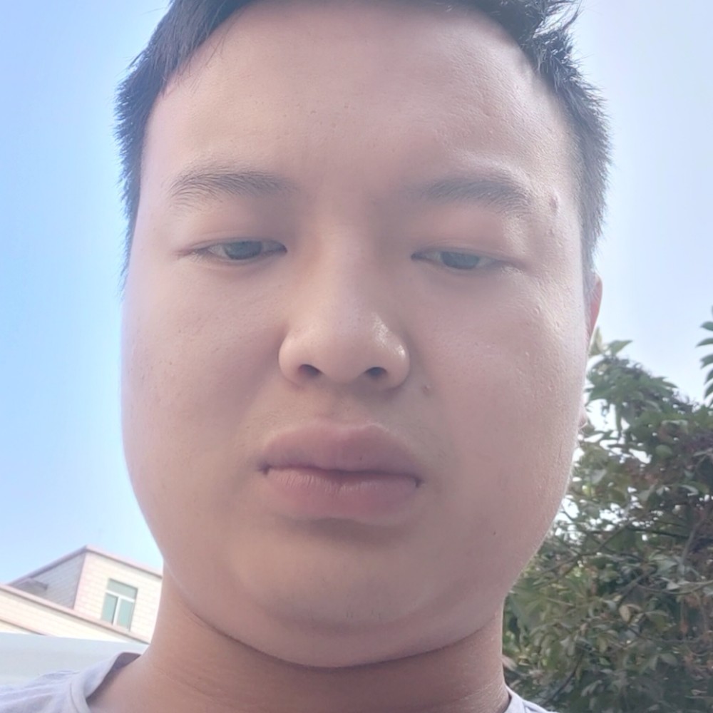 龙猫跳跃的照片