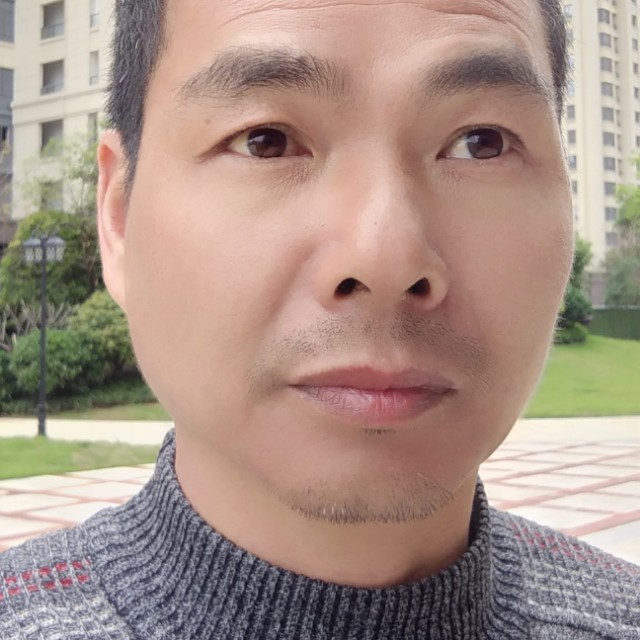 阳光  绿叶的照片