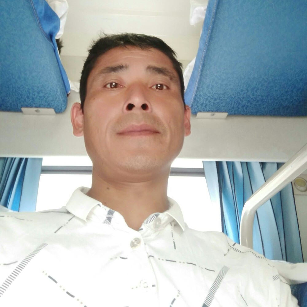 舒适橘子的照片