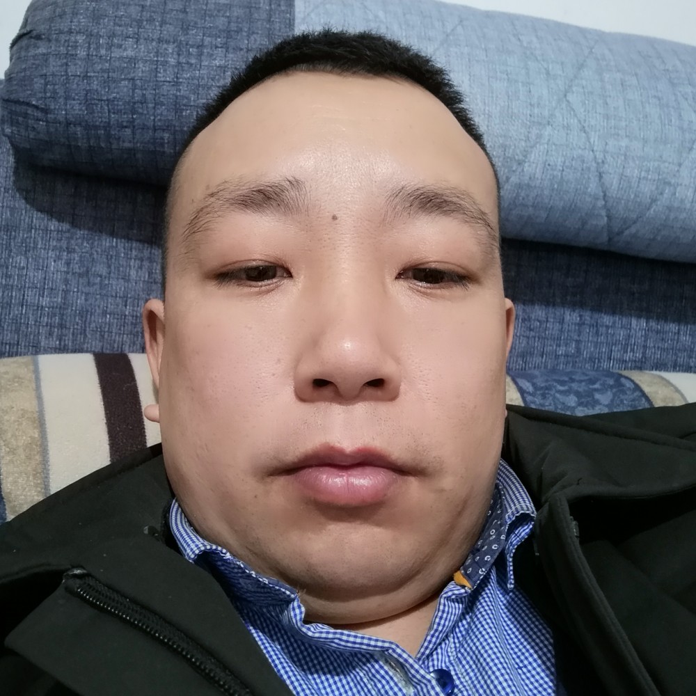 风吹流叶的照片