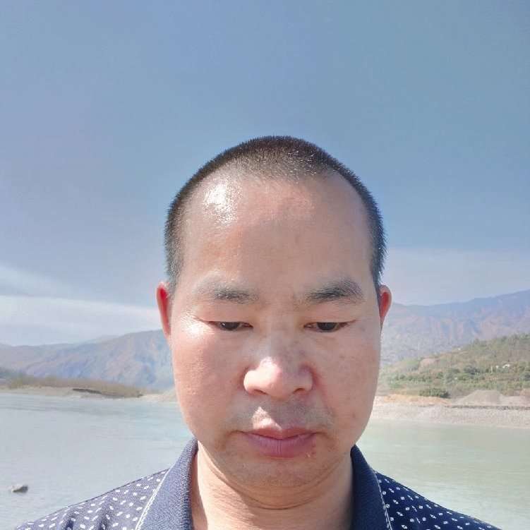 茉莉与整齐的照片