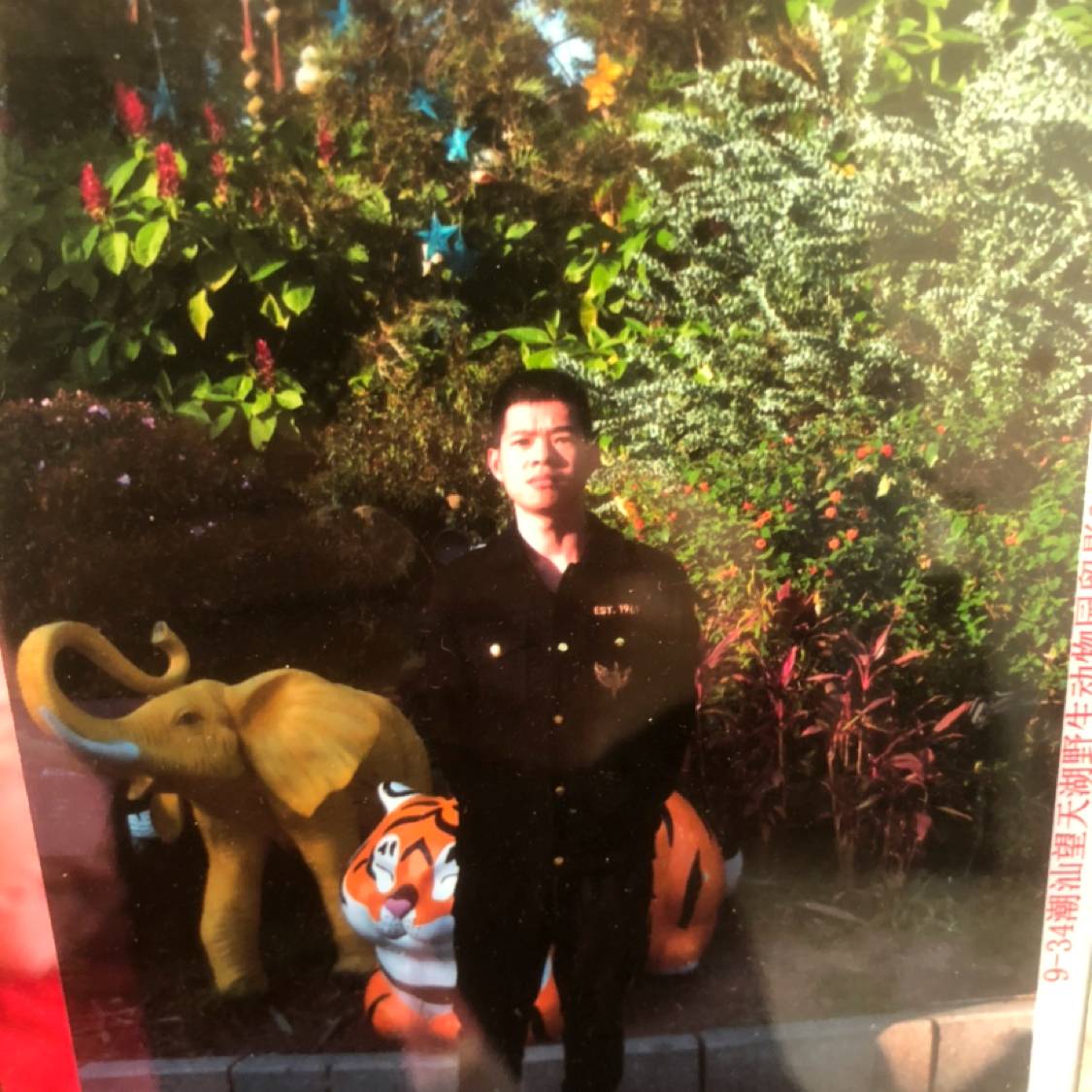 羊相许犹豫的照片
