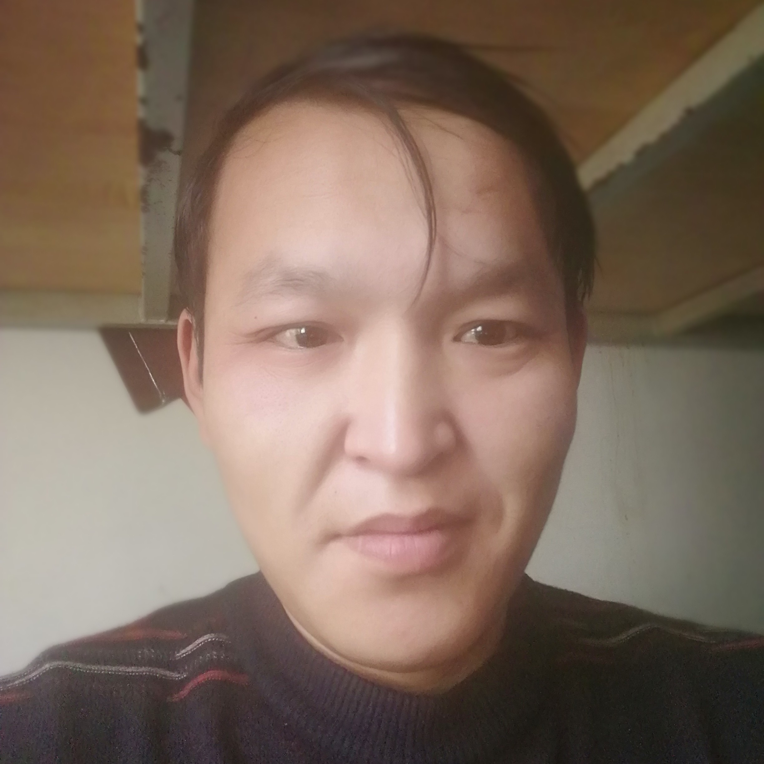光亮打花瓣的照片