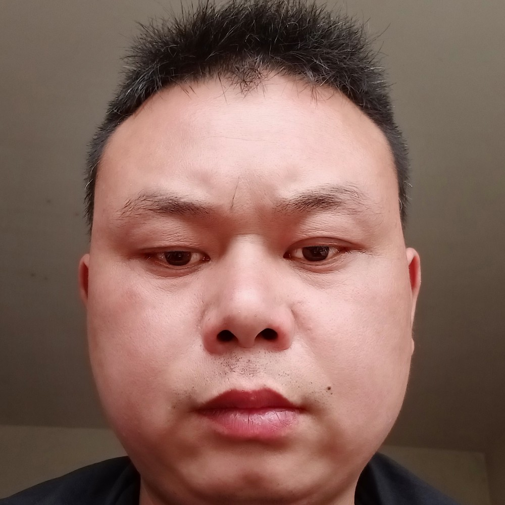 鳗鱼深拥板凳的照片