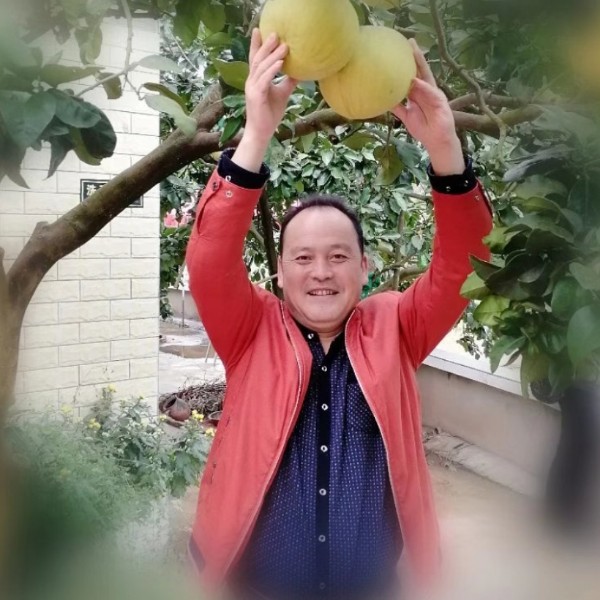 开心快乐常青的照片