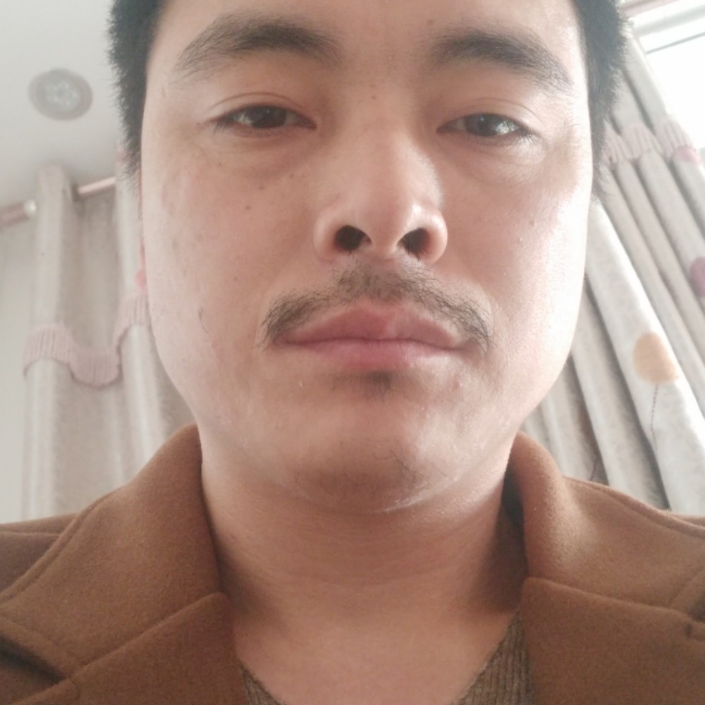 痴情海燕的照片