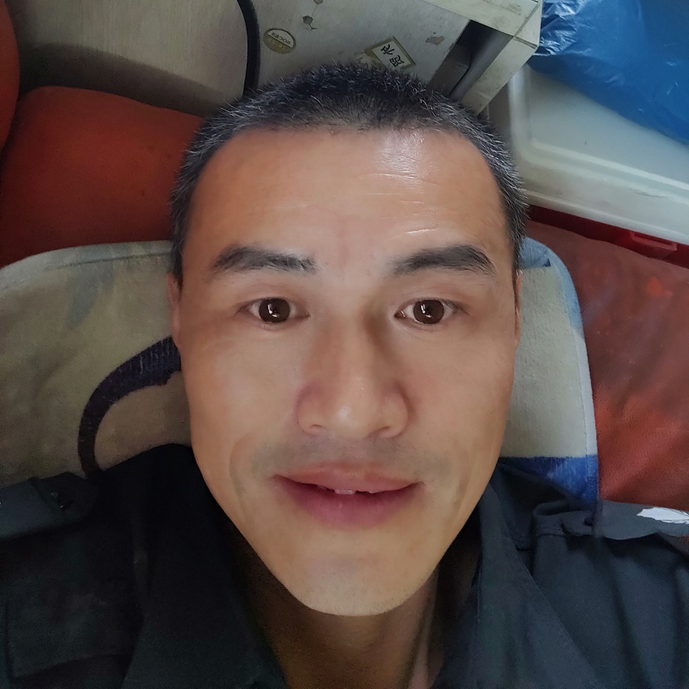 小刺猬有伶俐的照片
