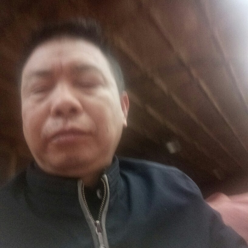 美好演变鼠标的照片