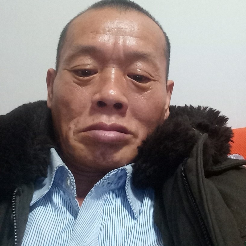 猫咪演变寂灭的照片