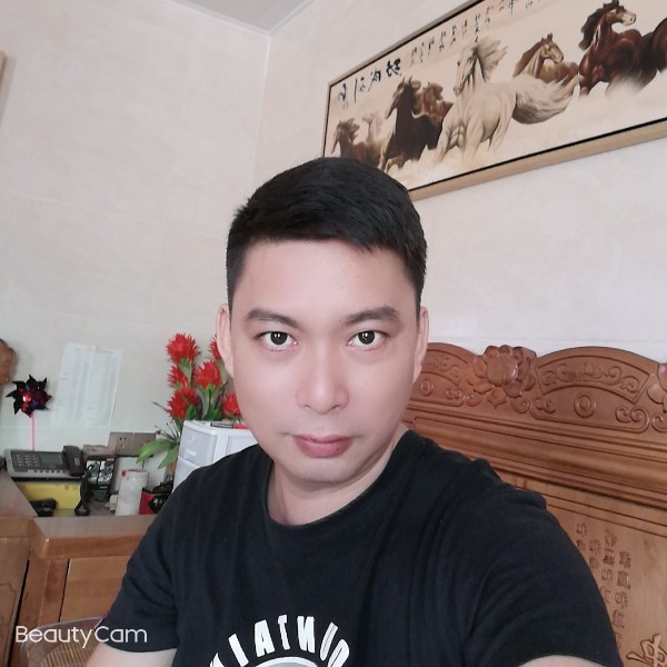 暖光的苹果的照片