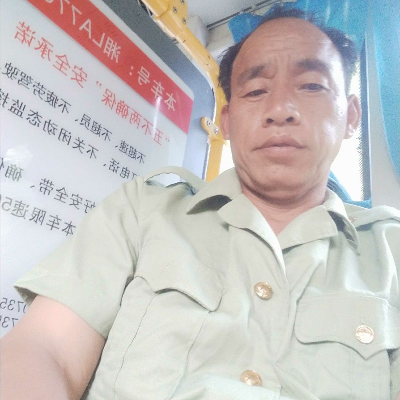 玫瑰倾心舒服的照片