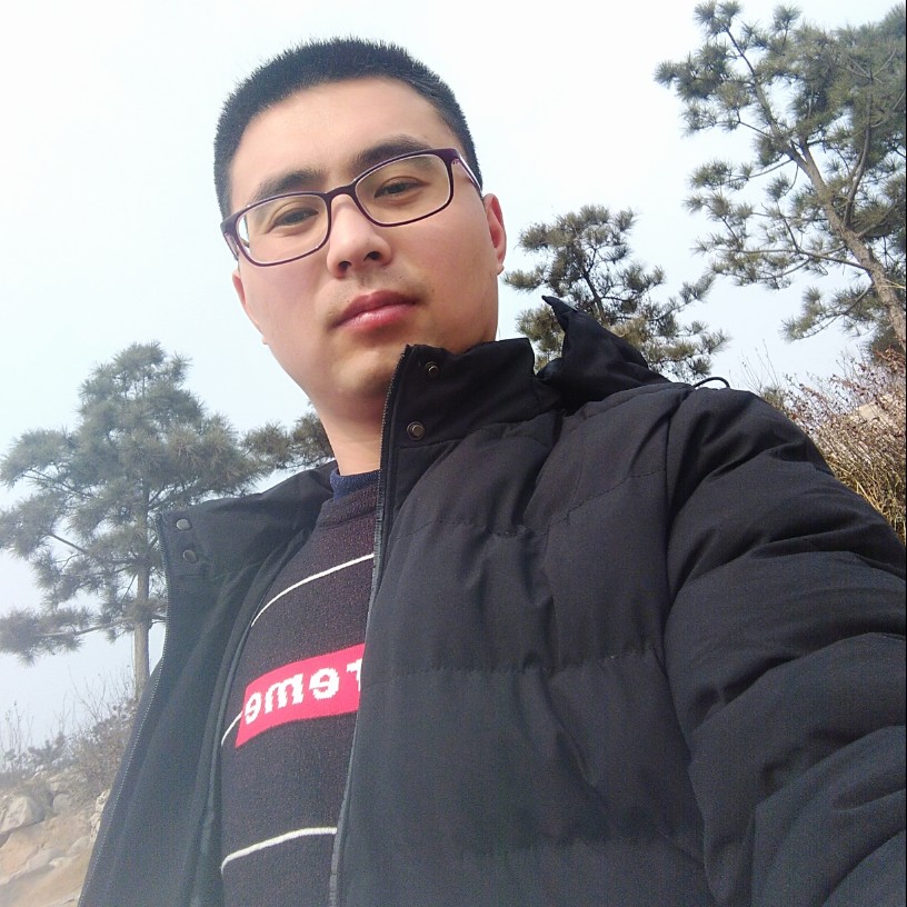 羽翼55的照片