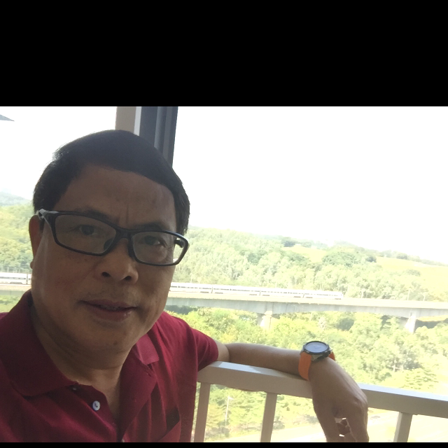 岁月静好与尔同行的照片