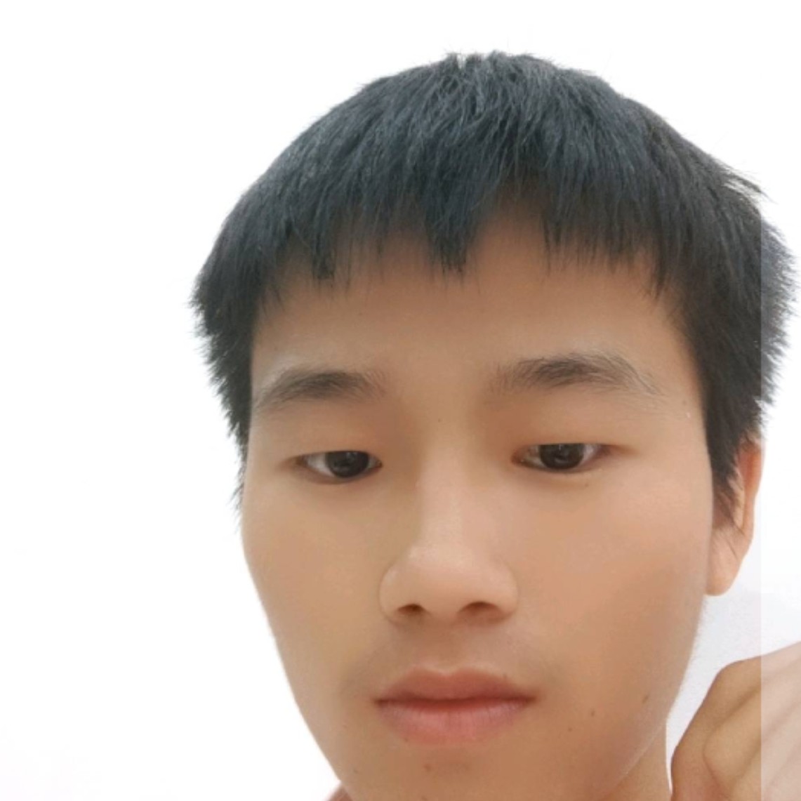 晚风啊的照片