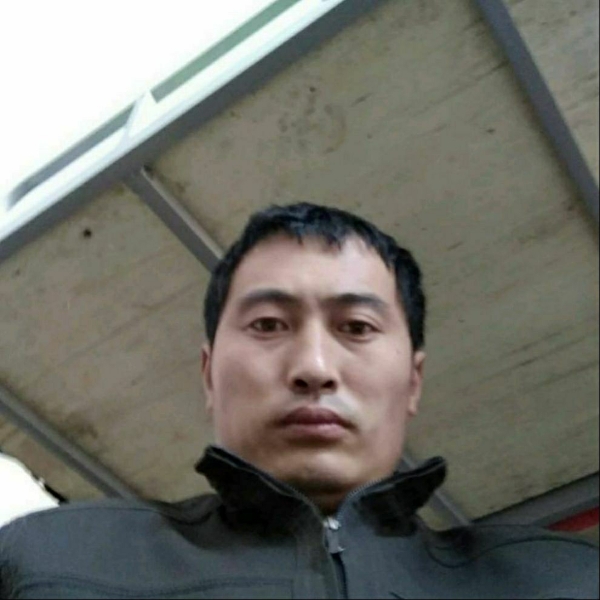 张兆庆的照片