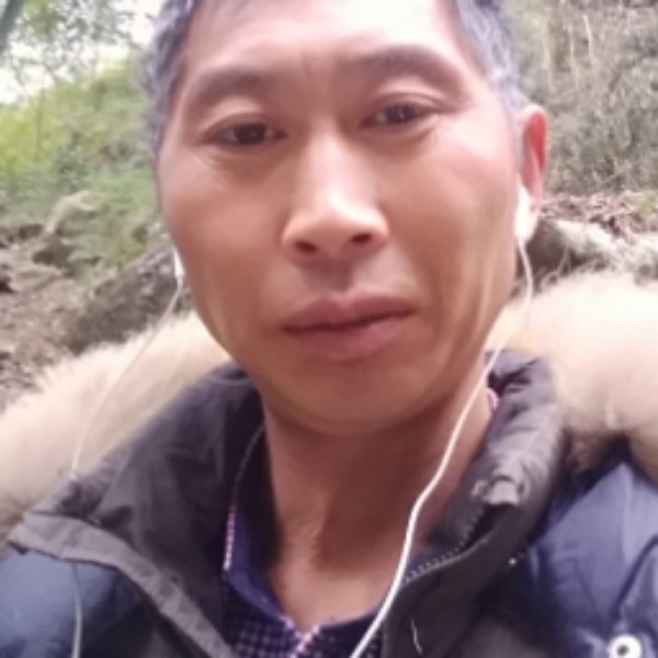 顺利翅膀的照片